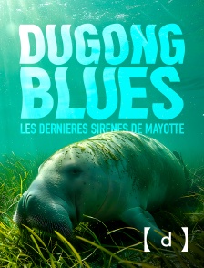 France TV Docs - Dugong blues, les dernières sirènes de Mayotte