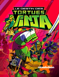 Nickelodeon - Rise Of The Teenage Mutant Ninja Turtles