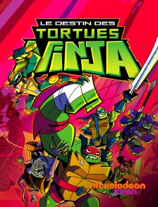 Nickelodeon Teen - Rise Of The Teenage Mutant Ninja Turtles