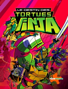 Nicktoons - Rise Of The Teenage Mutant Ninja Turtles