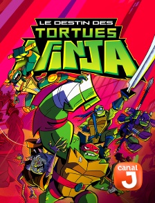 Canal J - Rise Of The Teenage Mutant Ninja Turtles