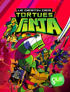 Gulli - Rise Of The Teenage Mutant Ninja Turtles