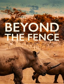 Beyond the fence