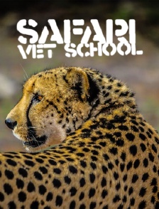 Safari Vet School