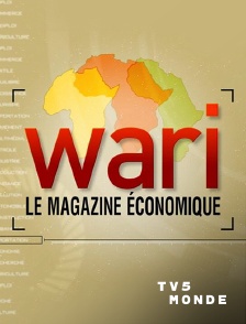 TV5MONDE - Wari