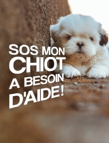 SOS mon chiot a besoin d'aide !
