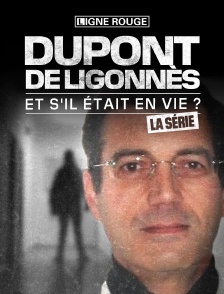 Dupont de Ligonnès, la série