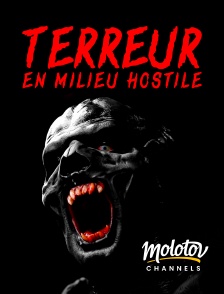 Molotov channels - Terreur en milieu hostile