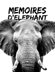Mémoires d'éléphant