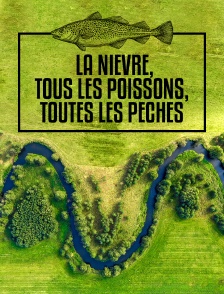 La Nièvre, tous les poissons, toutes les pêches