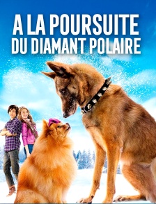 A la poursuite du diamant polaire