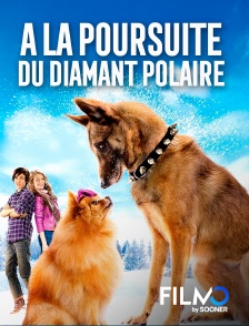 FilmoTV - A la poursuite du diamant polaire