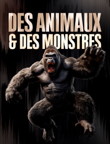 Des animaux et des monstres