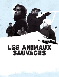 Les animaux sauvages