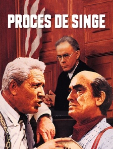 Procès de singe