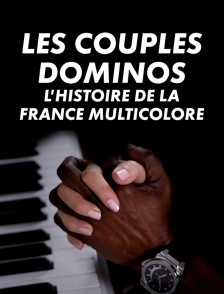 Les couples dominos, l'histoire de la France multicolore