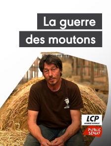 La guerre des moutons