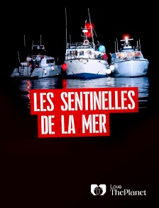 Love the Planet - Les sentinelles de la mer