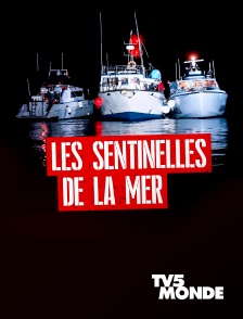 TV5MONDE - Les sentinelles de la mer
