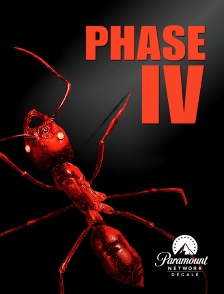 Paramount Network Décalé - Phase IV