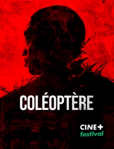 CINE+ Festival - Coléoptère