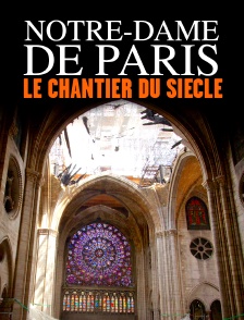 Notre-Dame de Paris, le chantier du siècle
