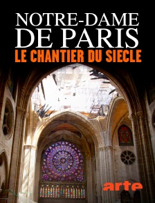 Arte - Notre-Dame de Paris, le chantier du siècle