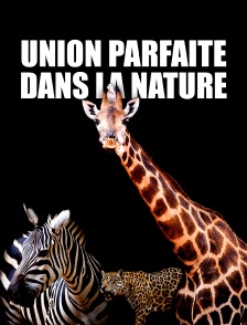 Union parfaite dans la nature