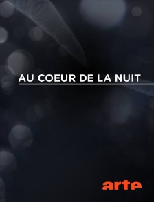 Arte - Au coeur de la nuit