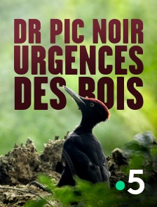 France 5 - Dr Pic Noir : urgences des bois