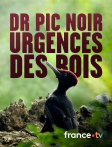 Dr Pic Noir : urgences des bois