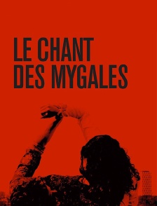 Le chant des mygales