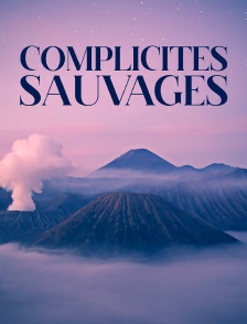 Complicités sauvages
