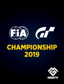 FIA GT CHAMPIONSHIPS 2019