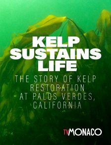 TV Monaco - Kelp Sustains Life -- The Story of Kelp Restoration at Palos Verdes, California