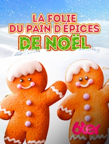 6ter - La folie du pain d'épices de Noël
