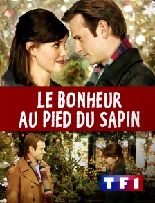 TF1 - Le bonheur au pied du sapin