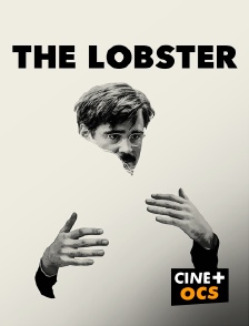 CINÉ Cinéma - The Lobster en replay