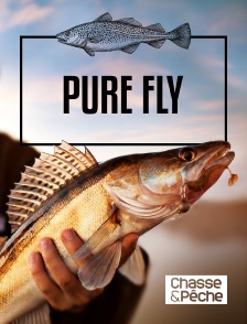 Chasse et pêche - Pure Fly en replay