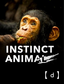 France TV Docs - Instinct animal