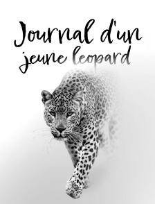 Journal d'un jeune léopard