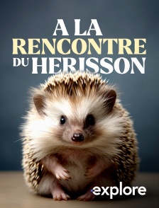 EXPLORE - A la rencontre du hérisson