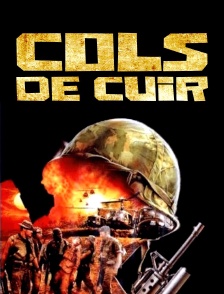 Cols de cuir