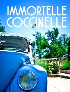 Immortelle Coccinelle