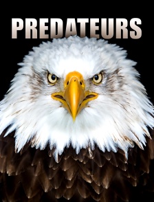 Prédateurs
