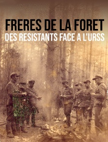 Frères de la forêt, des résistants face à l'URSS