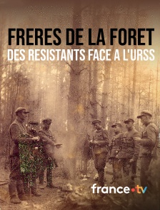 france.tv - Frères de la forêt, des résistants face à l'URSS