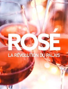 Rosé, la révolution du palais