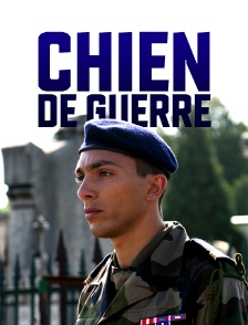 Chien de guerre