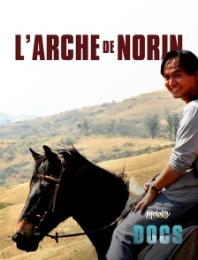 L'arche de Norin